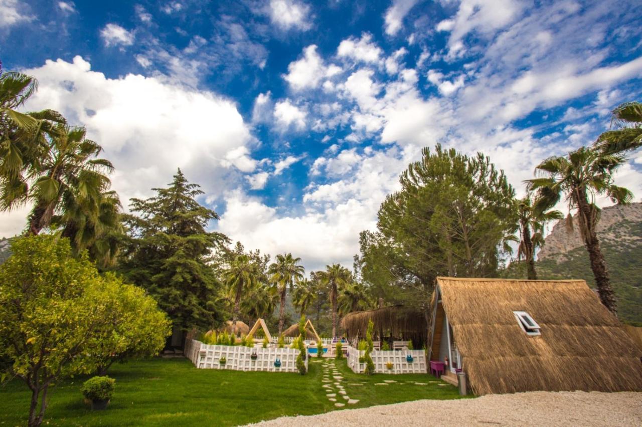 Вилла The Hill Glamping Чирали Экстерьер фото